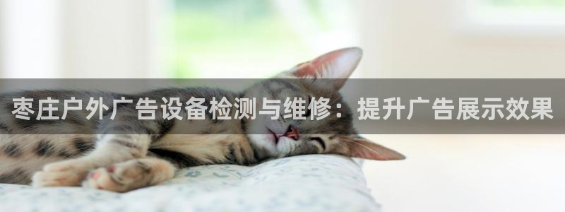 杏宇平台总代理电话：枣庄户外广告设备检测与维修：提升广告展示效果