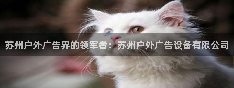 杏宇平台代理多少钱一个：苏州户外广告界的领军者：苏州户外广告设备有限公司