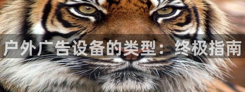杏宇平台招商怎么样