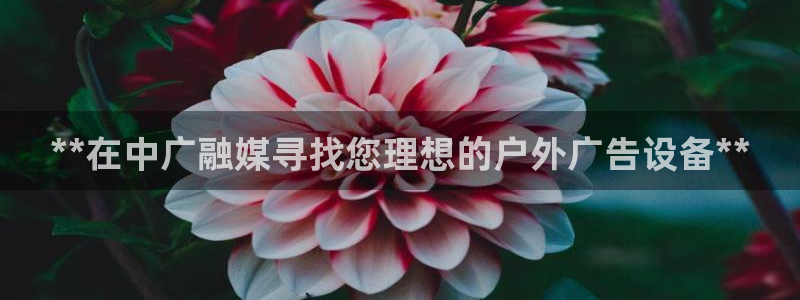 杏宇官方平台官网入口：**在中广融媒寻找您理想的户外广告设备**