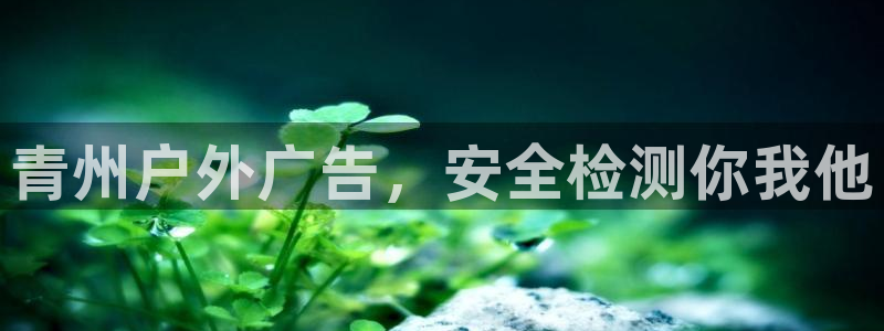 杏宇平台代理怎么赚钱