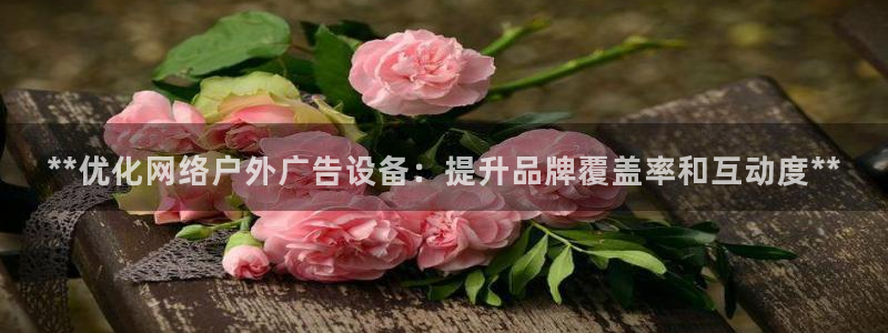 杏宇平台提现为什么这么久呢：**优化网络户外广告设备：提升品牌覆盖率和互动度**