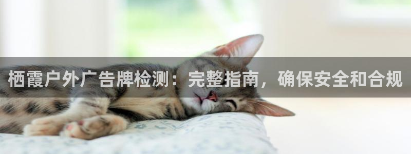 杏宇平台代理怎么赚钱：栖霞户外广告牌检测：完整指南，确保安全和合规
