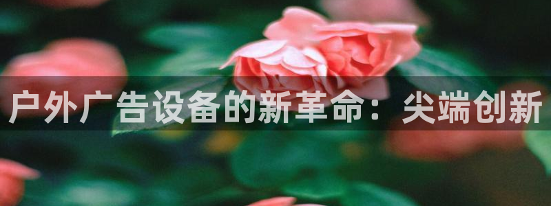 杏宇平台主管