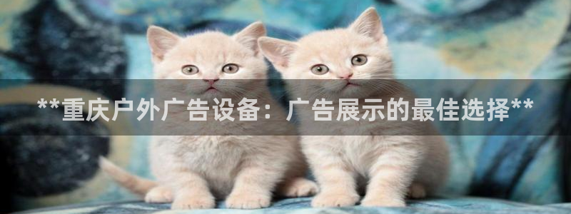 杏宇平台怎么样赚钱：**重庆户外广告设备：广告展示的最佳选择**