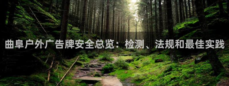 杏宇平台注册登录