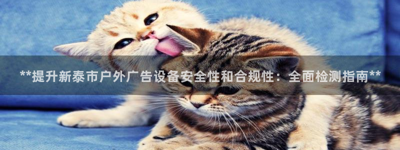 杏宇平台登录步骤图：**提升新泰市户外广告设备安全性和合规性：全面检测指南**