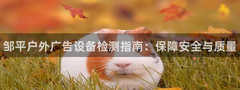 杏宇代理注册