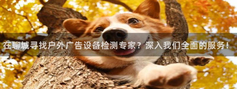 杏宇平台代理多少钱一个月：在聊城寻找户外广告设备检测专家？深入我们全面的服务！