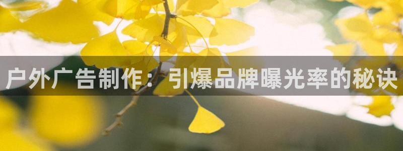 杏宇平台怎么样