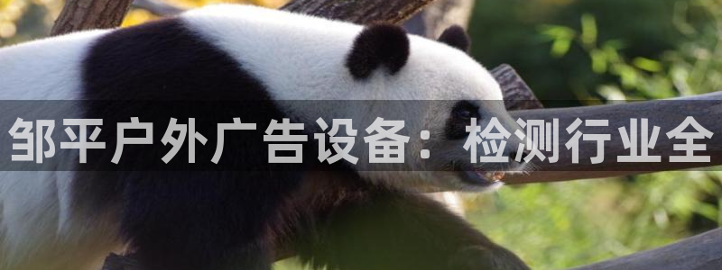 杏宇平台代理多少钱一个月