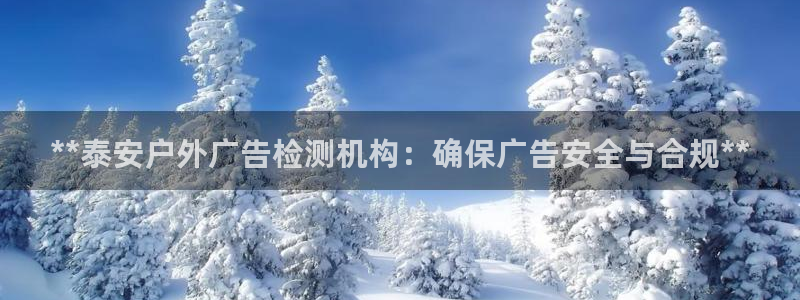 杏宇官方平台官网入口：**泰安户外广告检测机构：确保广告安全与合规**