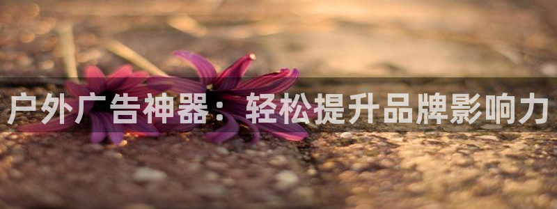 杏宇平台怎么样知乎