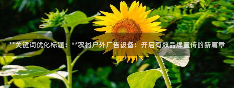 杏宇平台客服：**关键词优化标题：**农村户外广告设备：开启有效品牌宣传的新篇章