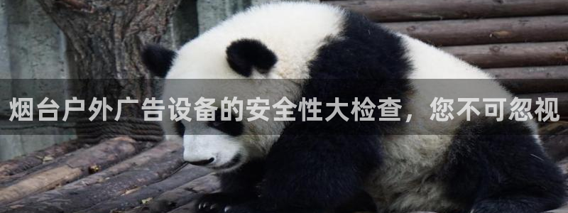 杏宇平台总代理电话