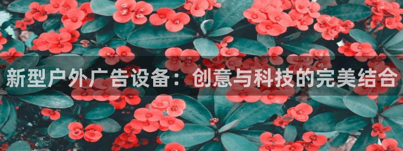 杏宇平台登录步骤是什么：新型户外广告设备：创意与科技的完美结合