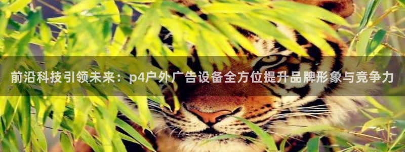 杏宇官方平台官网入口：前沿科技引领未来：p4户外广告设备全方位提升品牌形象与竞争力