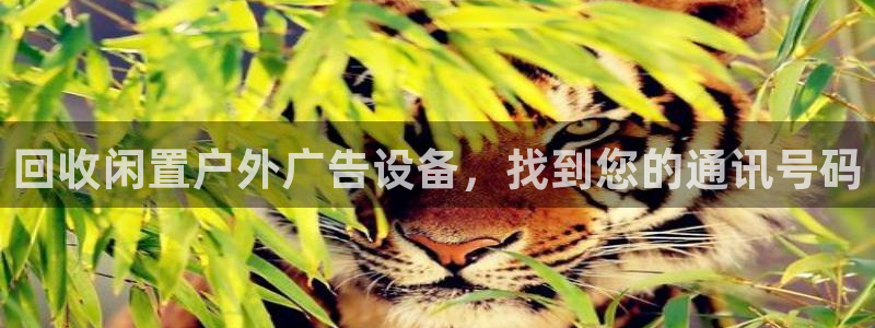 杏宇平台登陆：回收闲置户外广告设备，找到您的通讯号码