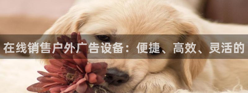 杏宇平台代理怎么赚钱：在线销售户外广告设备：便捷、高效、灵活的