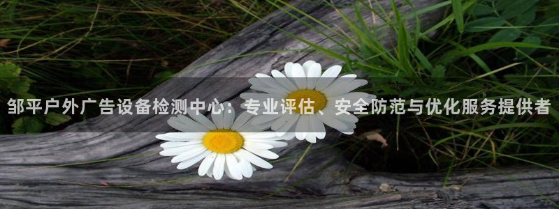 杏宇平台提现为什么这么久呢：邹平户外广告设备检测中心：专业评估、安全防范与优化服务提供者