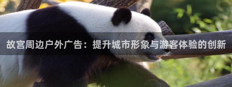 杏宇平台测速链接：故宫周边户外广告：提升城市形象与游客体验的创新