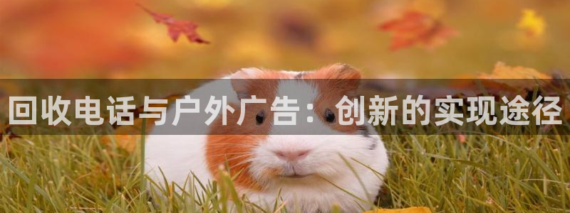 杏宇平台是什么：回收电话与户外广告：创新的实现途径