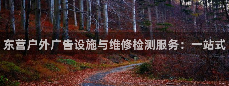 杏宇平台总代理：东营户外广告设施与维修检测服务：一站式
