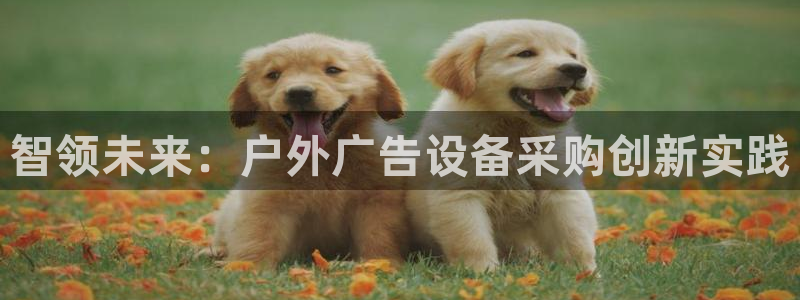 杏宇平台招商：智领未来：户外广告设备采购创新实践