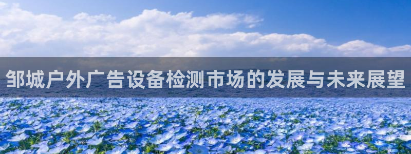 杏宇平台登录步骤：邹城户外广告设备检测市场的发展与未来展望