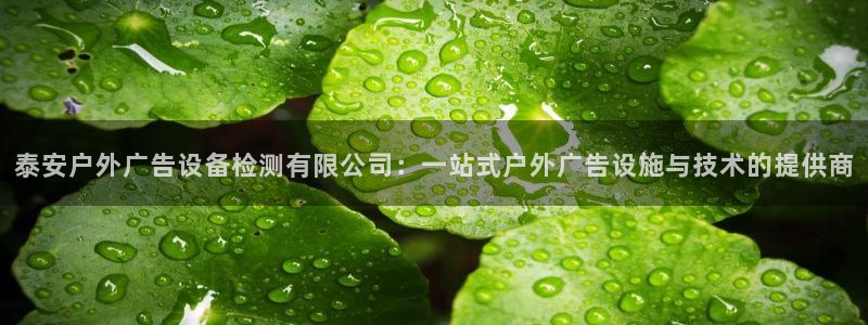 杏宇平台招商电话号码：泰安户外广告设备检测有限公司：一站式户外广告设施与技术的提供商