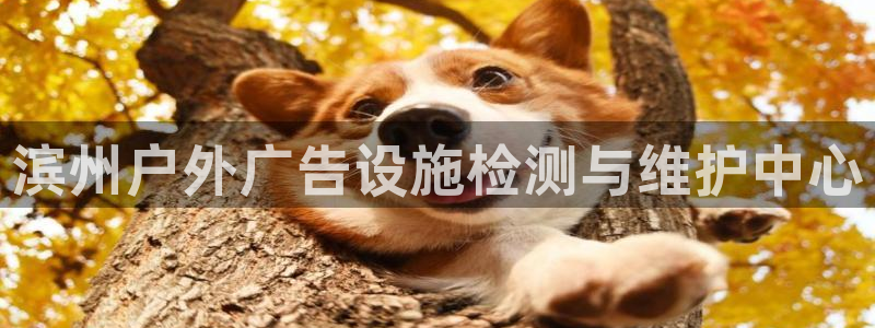 杏宇平台总代理是谁：滨州户外广告设施检测与维护中心