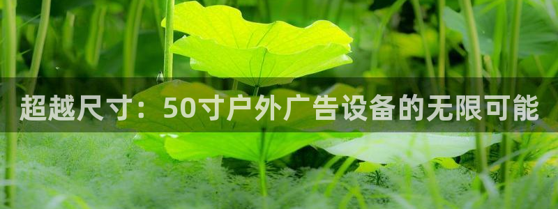 杏宇平台代理多少钱一个月：超越尺寸：50寸户外广告设备的无限可能