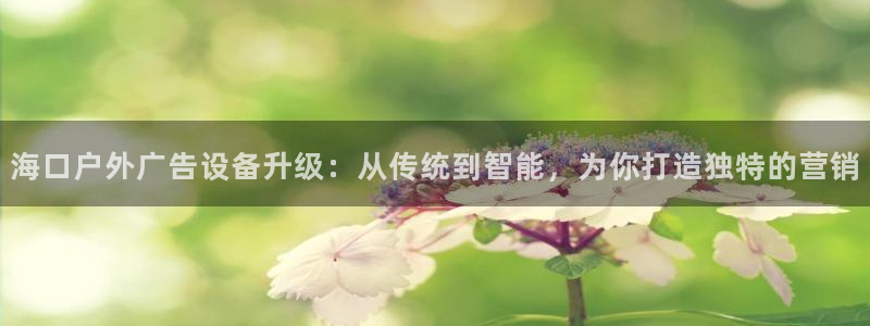 杏宇代理注册：海口户外广告设备升级：从传统到智能，为你打造独特的营销