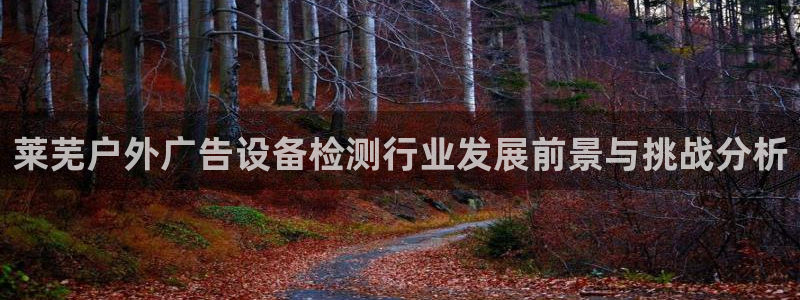 杏宇平台招商电话号码：莱芜户外广告设备检测行业发展前景与挑战分析