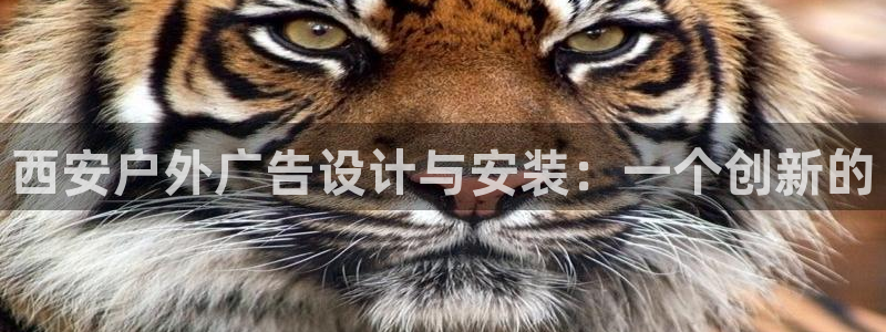 杏宇官方平台官网下载：西安户外广告设计与安装：一个创新的