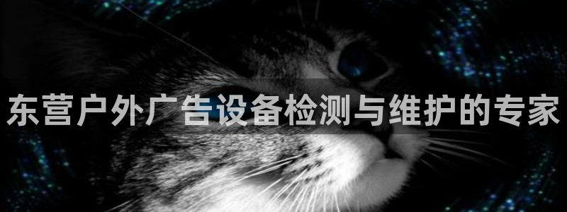 杏宇官方平台官网入口：东营户外广告设备检测与维护的专家
