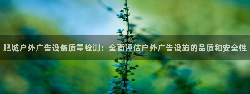 杏宇平台代理怎么赚钱：肥城户外广告设备质量检测：全面评估户外广告设施的品质和安全性