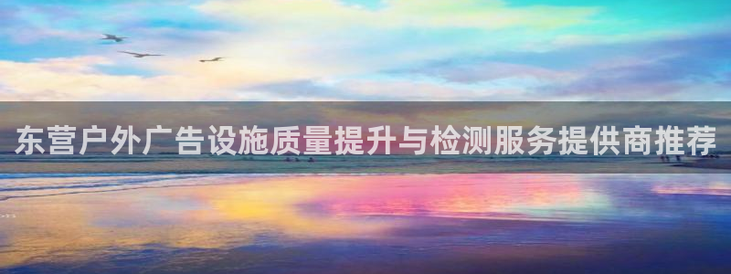 杏宇代理注册：东营户外广告设施质量提升与检测服务提供商推荐