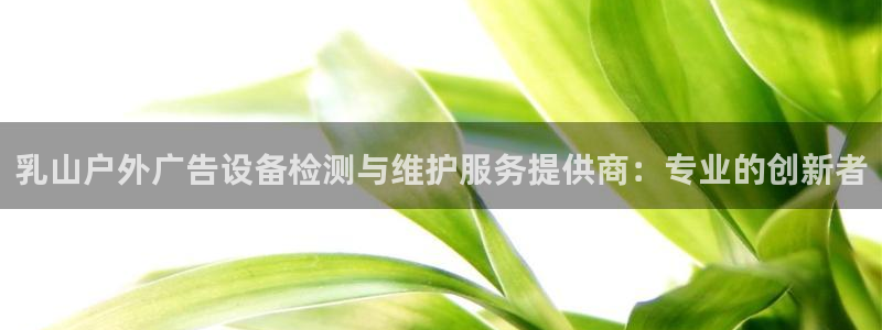 杏宇平台代理：乳山户外广告设备检测与维护服务提供商：专业的创新者