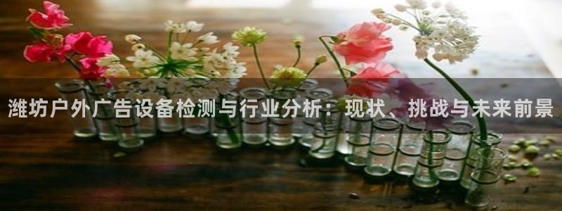 杏宇平台总代理电话：潍坊户外广告设备检测与行业分析：现状、挑战与未来前景