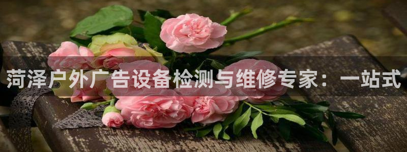 杏宇平台代理多少钱：菏泽户外广告设备检测与维修专家：一站式