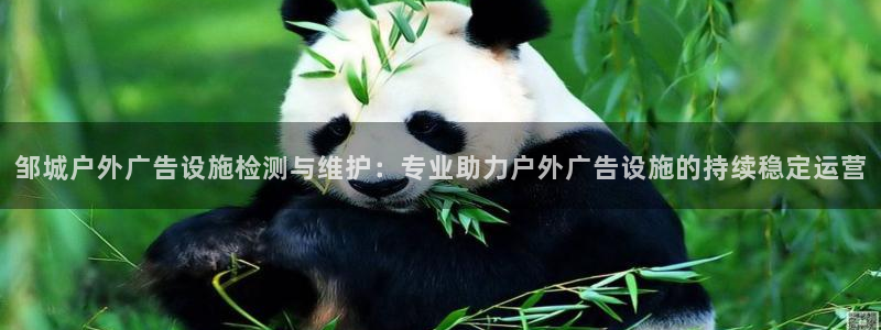 杏宇平台主管：邹城户外广告设施检测与维护：专业助力户外广告设施的持续稳定运营