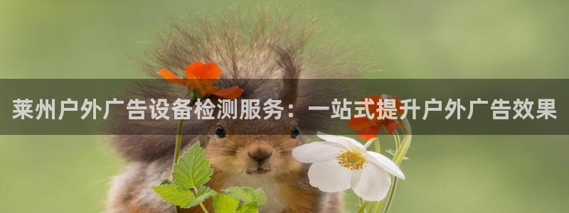 杏宇平台招商：莱州户外广告设备检测服务：一站式提升户外广告效果