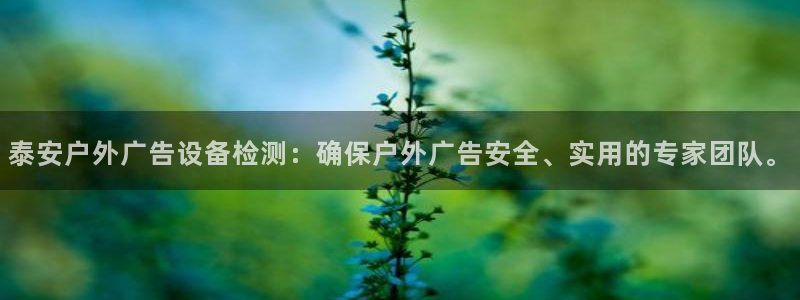 杏宇平台登录步骤：泰安户外广告设备检测：