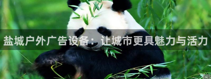 杏宇平台代理怎么样啊：盐城户外广告设备：让城市更具魅力与活力