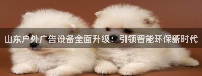 杏宇平台提现为什么这么久呢：山东户外广告设备全面升级：引领智能环保新时代
