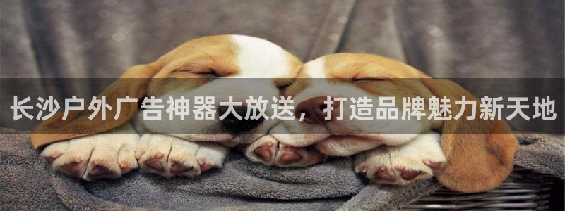 杏宇平台登录方法