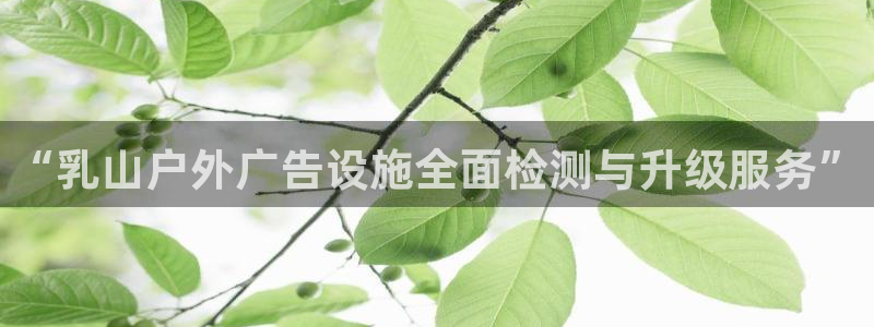 杏宇平台登录方法：“乳山户外广告设施全面检测与升级服务”