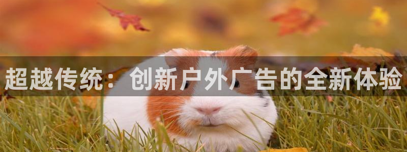 杏宇平台好吗：超越传统：创新户外广告的全新体验