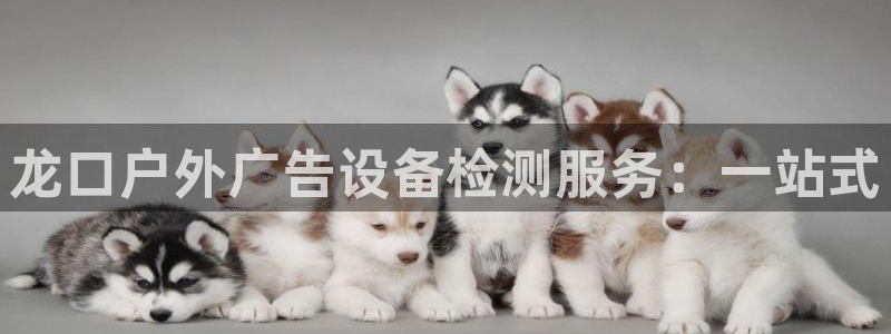 杏宇平台代理怎么赚钱快：龙口户外广告设备检测服务：一站式